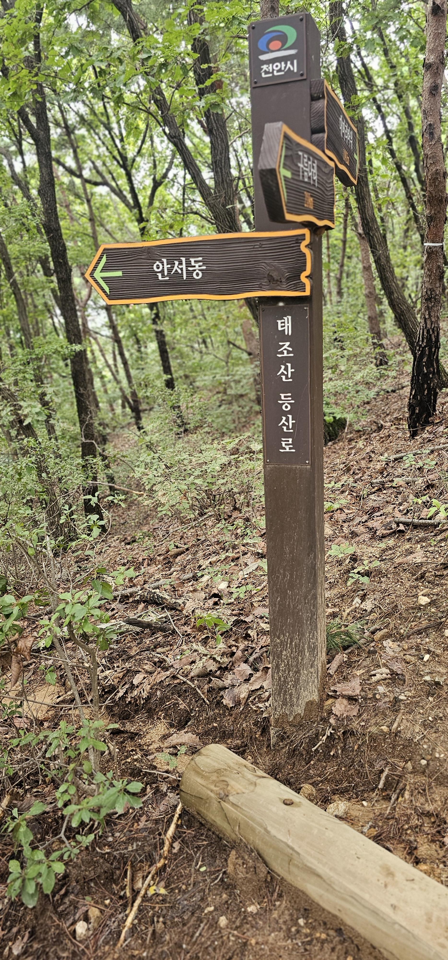 소당산 이미지