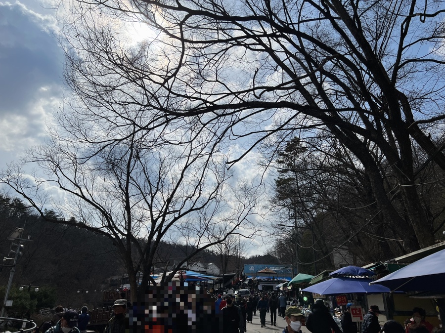 혼자가기좋은 12