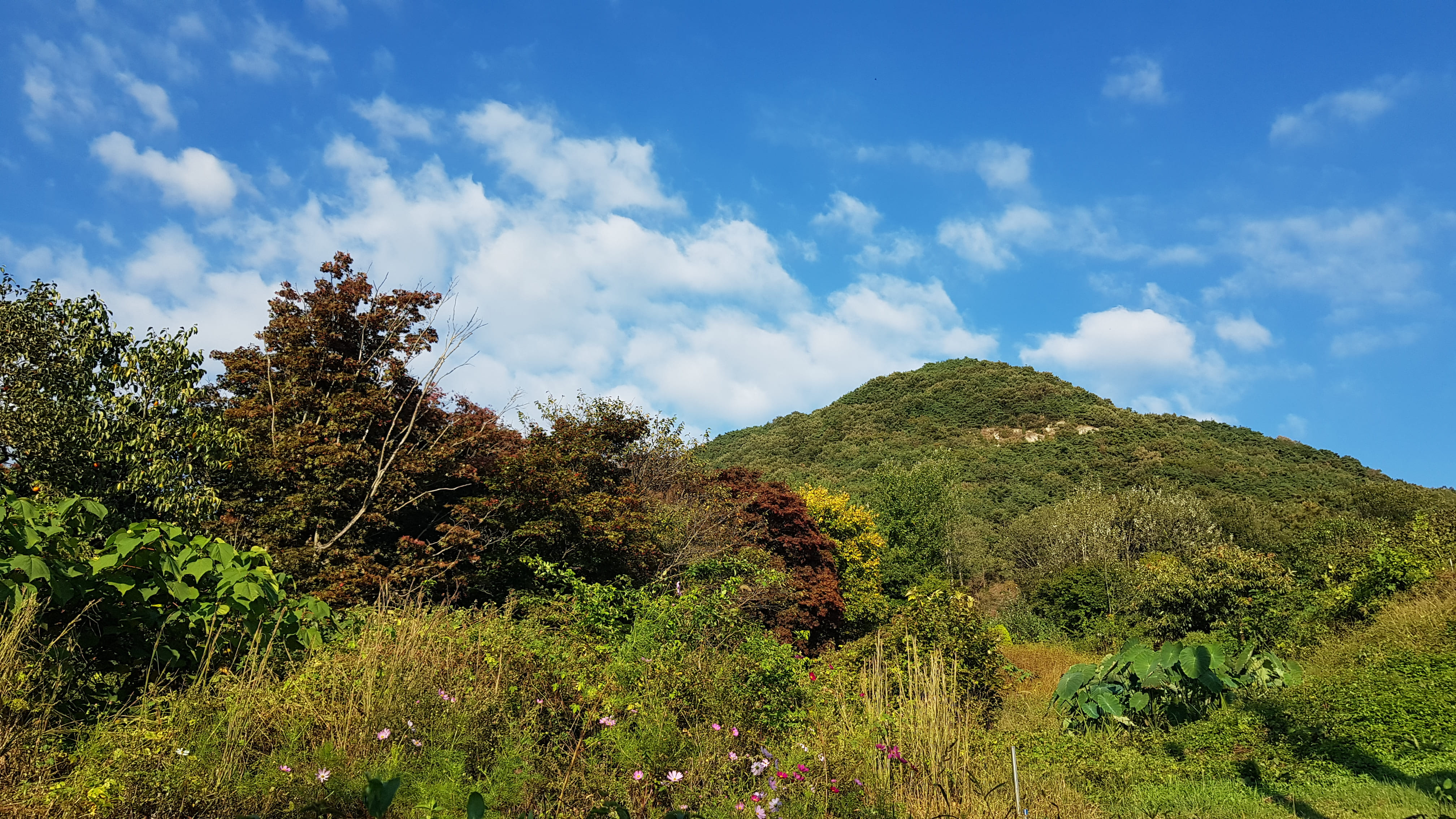 제비산(308m)