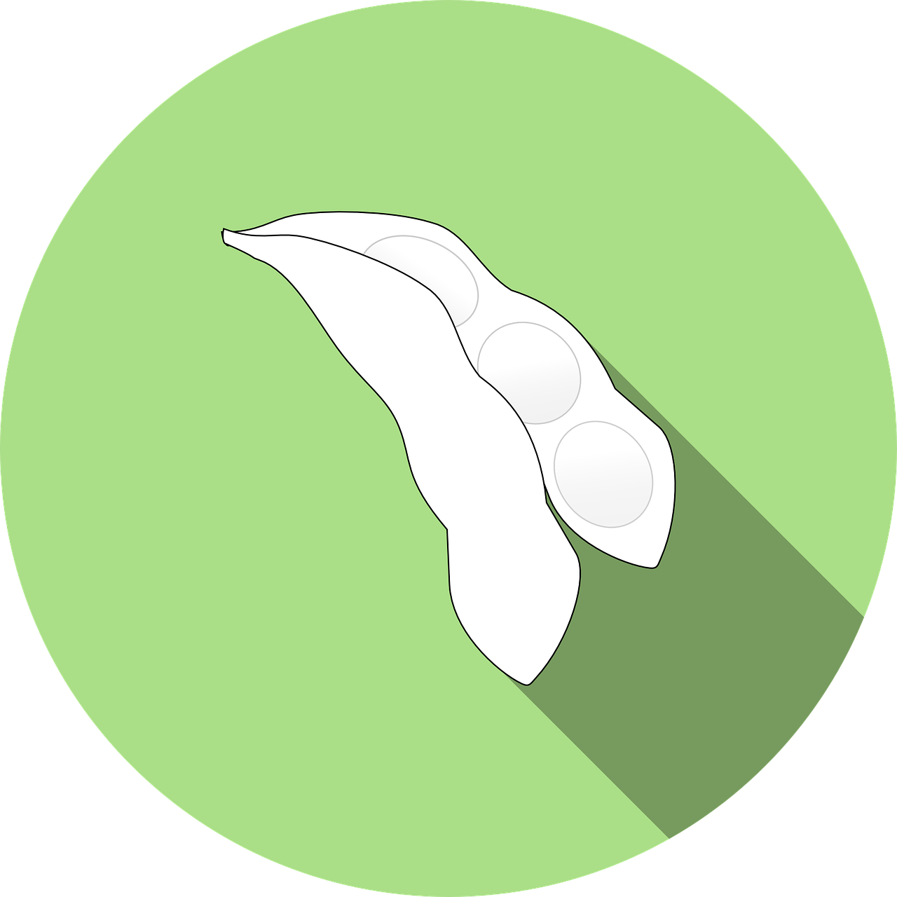  [건강/사회] GMO 에 대해서