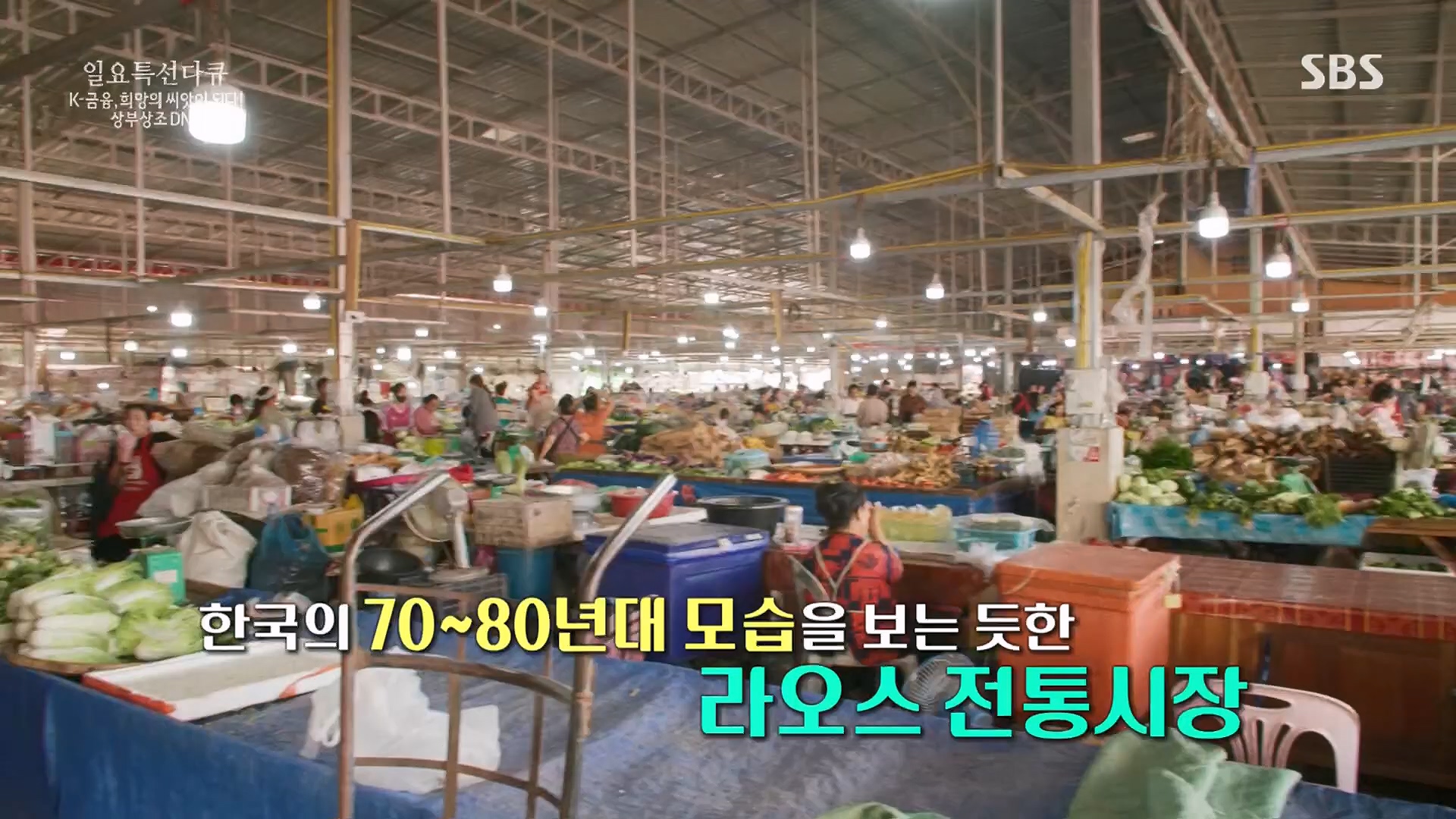 일요 특선 다큐멘터리.E332.231217p.H264-F1RST.mp4_20231217_202154.840.jpg