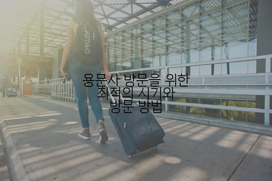 용문사 방문을 위한 최적의 시기와 방문 방법