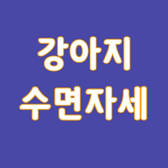  반려견의 잠자는 자세에 따른 심리상태 살펴보기