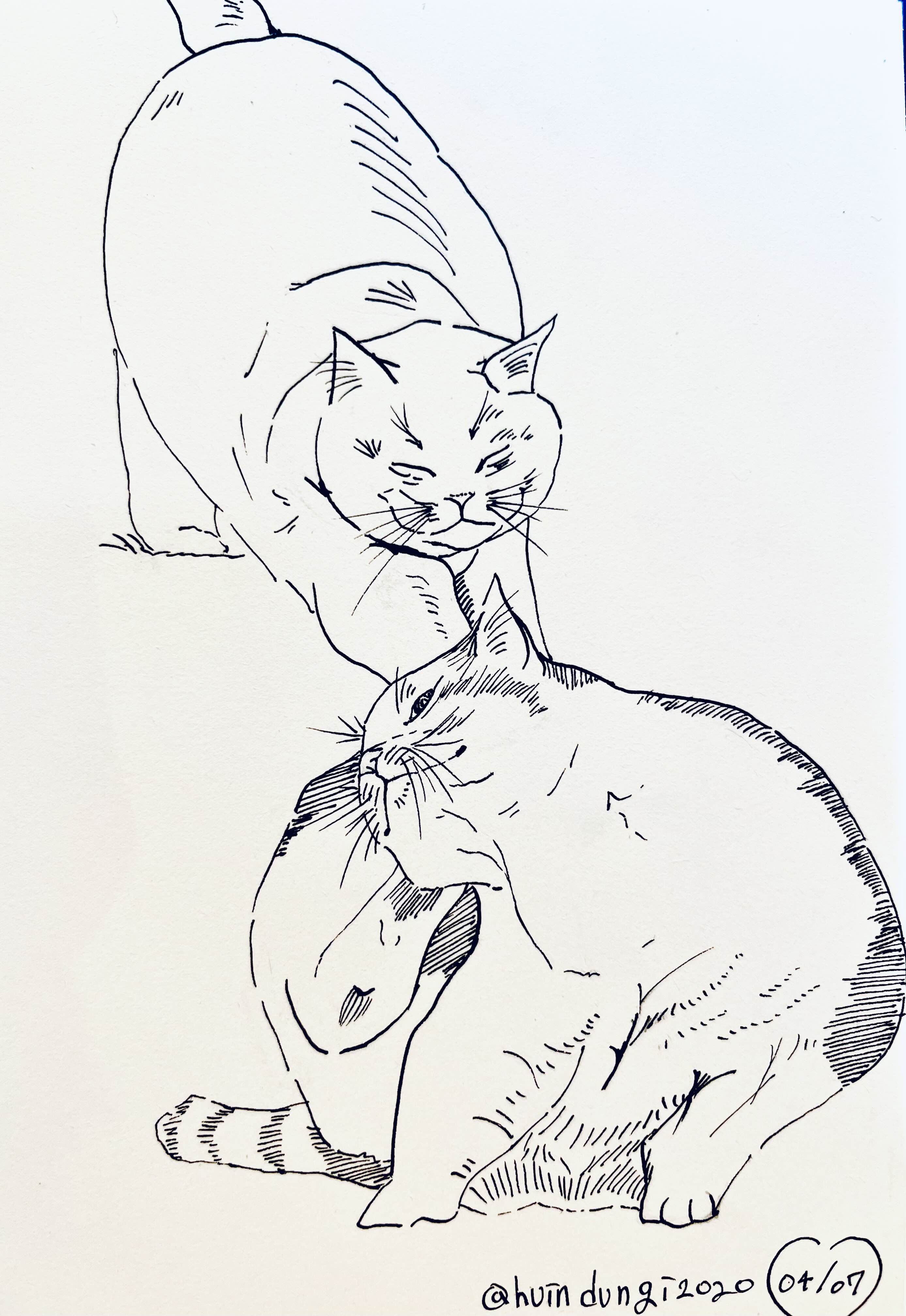  [취미생활 : 그림] 고양이 두마리 (고양이 그림 : 펜그림)
