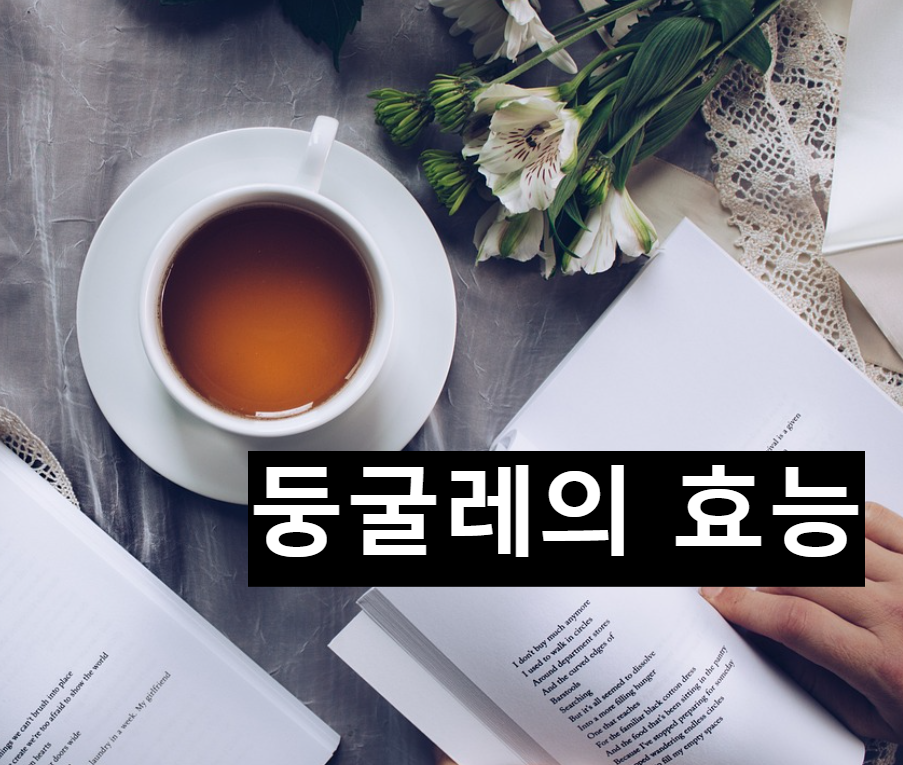  둥굴레의 효능과 먹는 방법
