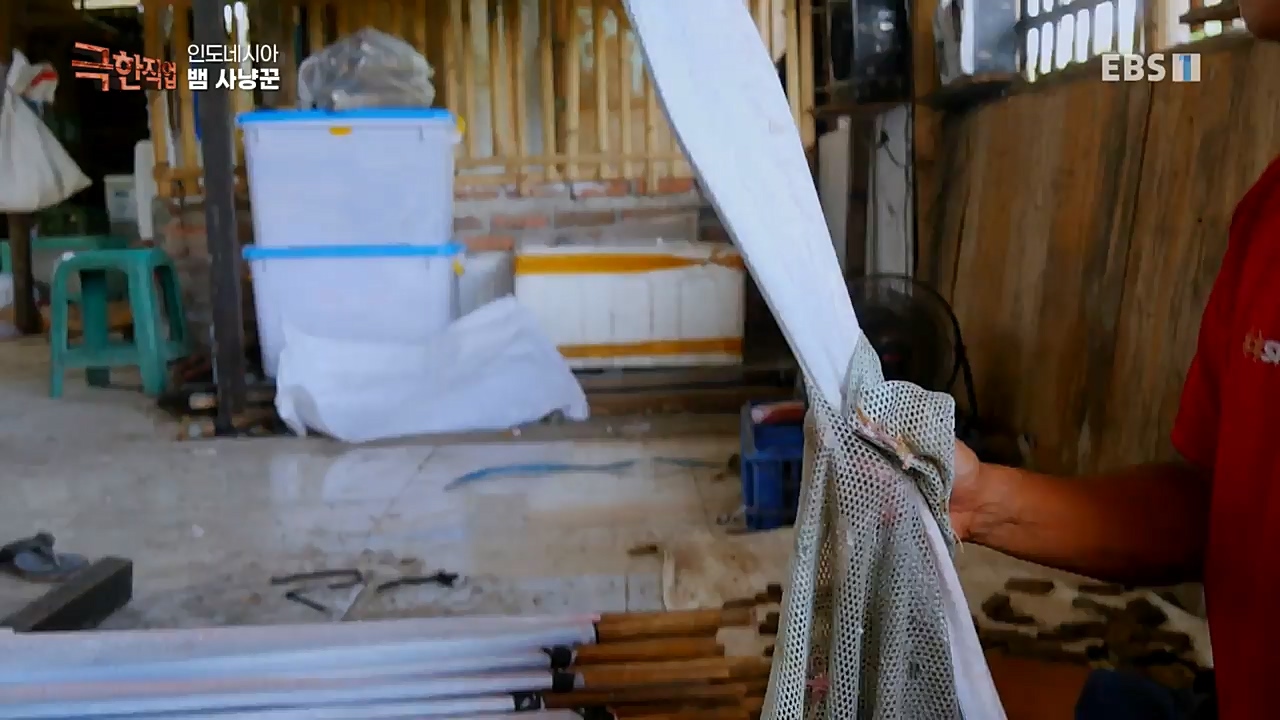 TV - 교육의 중심 EBS인도네시아 뱀사냥꾼.mp4_20221211_181513.819.jpg