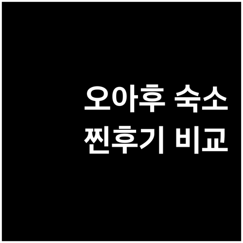 오아후 숙소 고민 끝 YMCA, 리츠