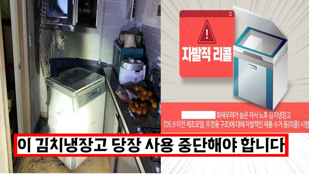  이 김치냉장고 당장 전원 뽑고 사용 중단해야 합니다. 계속 쓰면 큰일납니다.