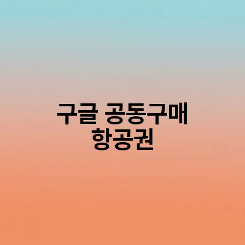 구글 공동구매 항공권