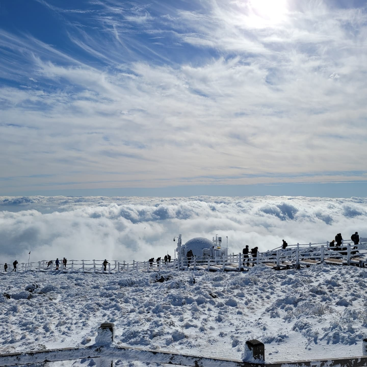 한라산 등산로