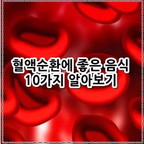 혈액순환에 좋은 음식 10가지 정리