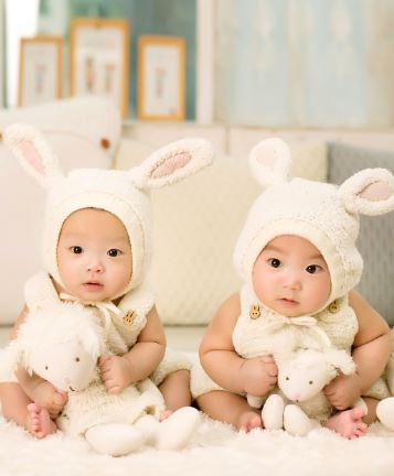 쌍둥이 사진