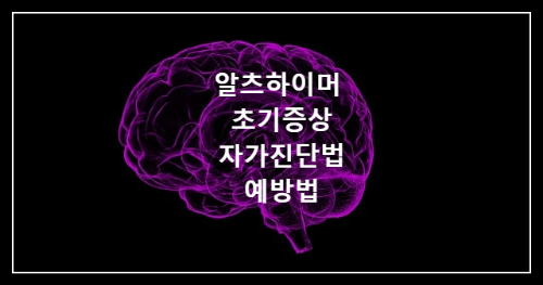 뇌건강-알츠하이머