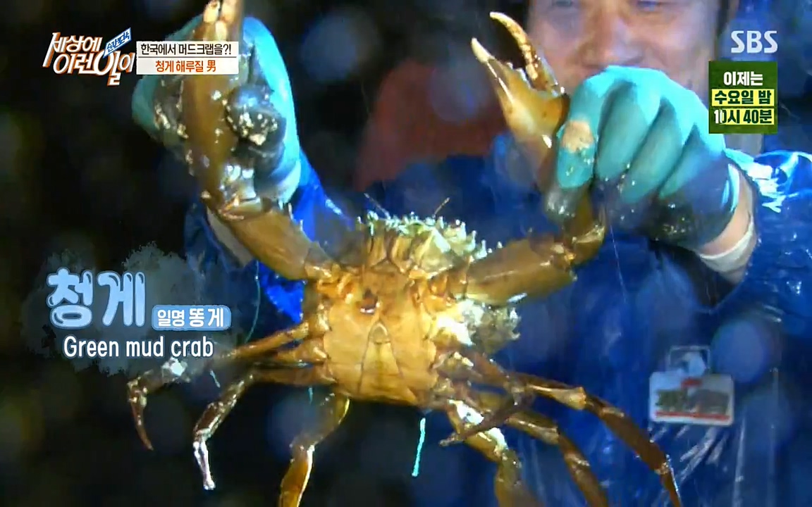 순간포착 세상에 이런일이.E1195.220831p-NEXT.mp4_20220831_195856.740.jpg