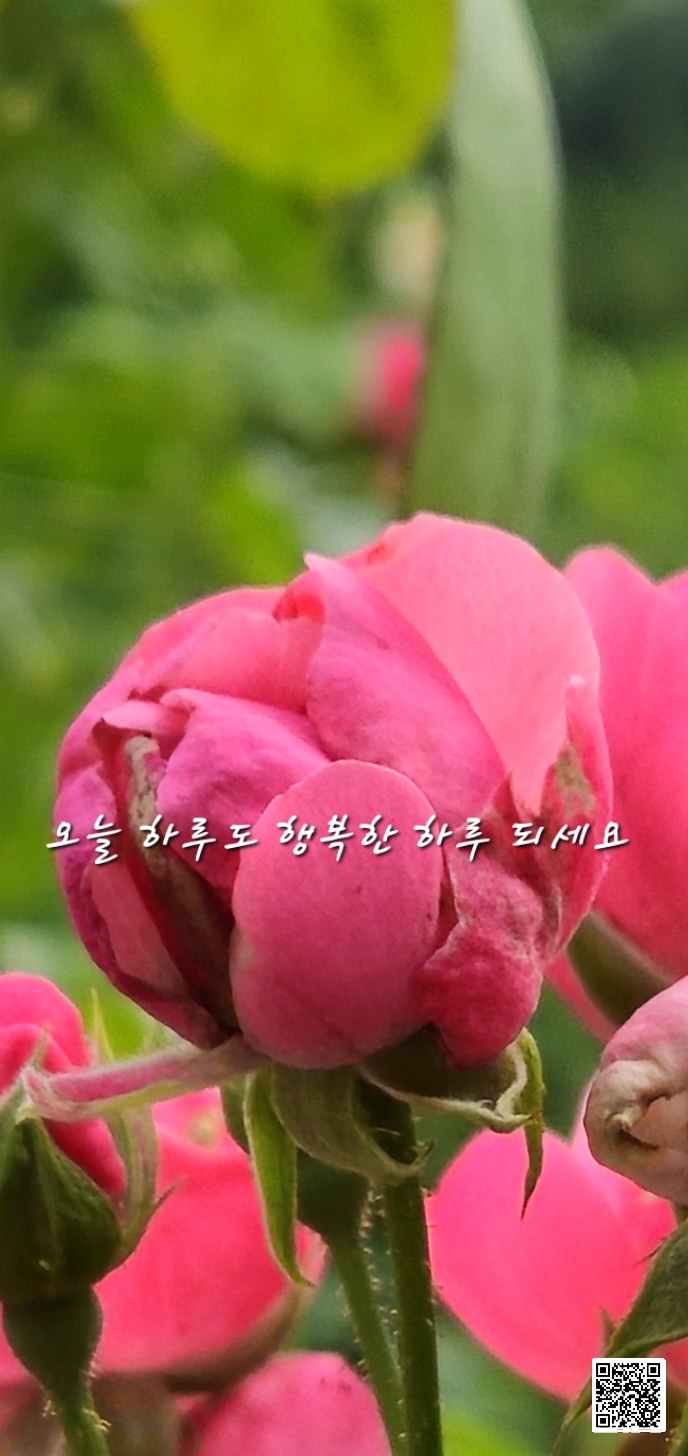 화요일 이미지