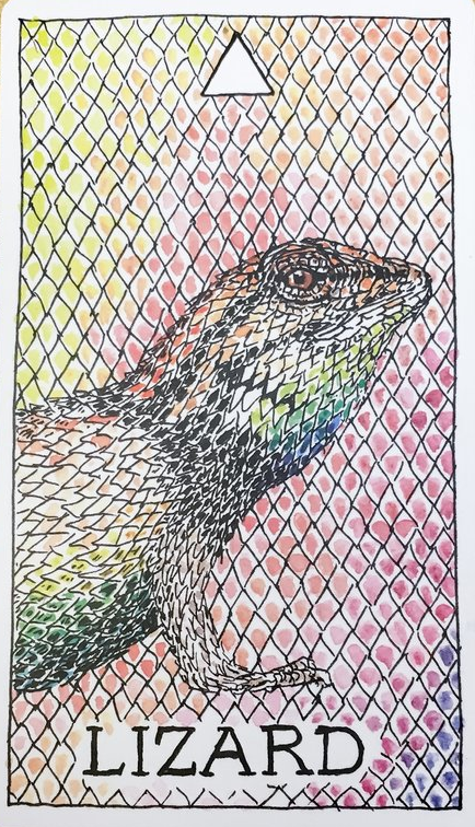  [오라클카드배우기/와일드언노운애니멀스피릿]The Wild Unknown Animal Spirit Lizard 도마뱀 해석 및 의미
