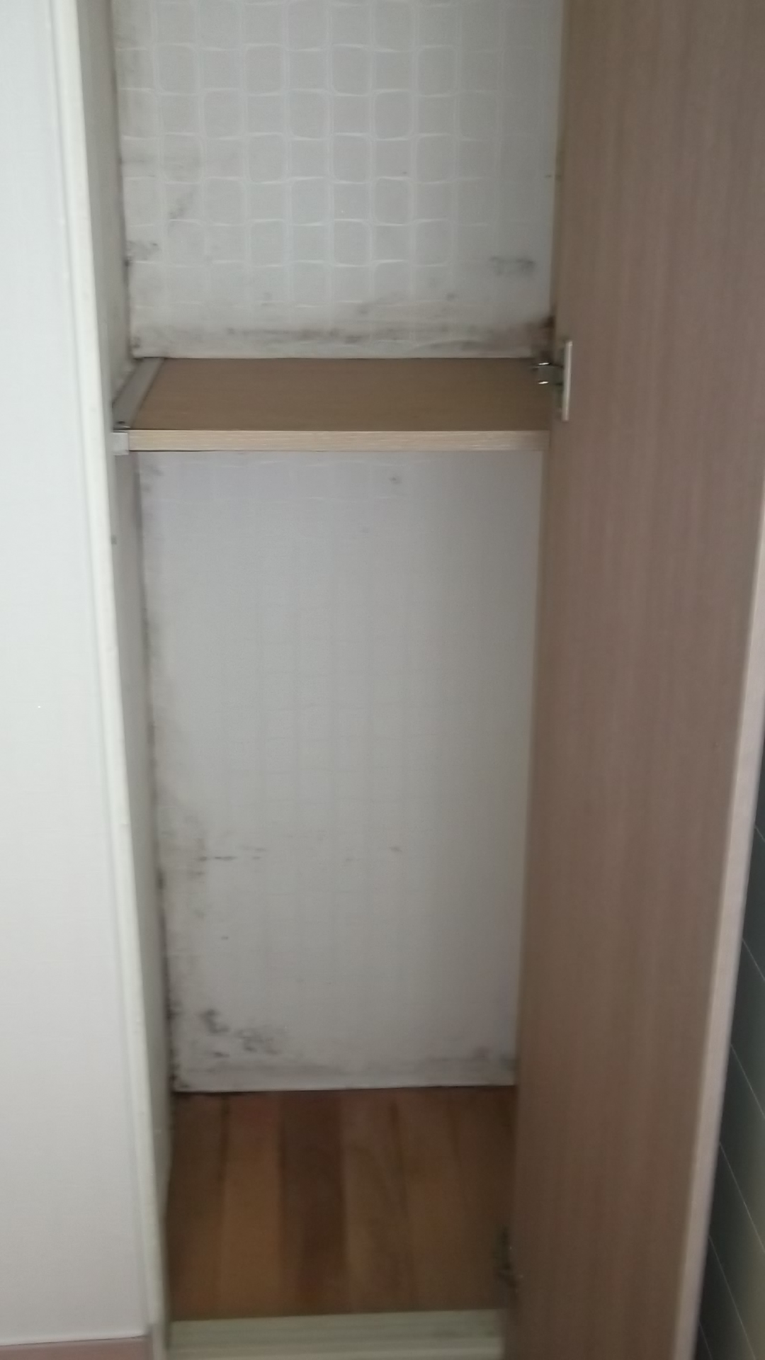  창고 곰팡이제거 방법 공개!