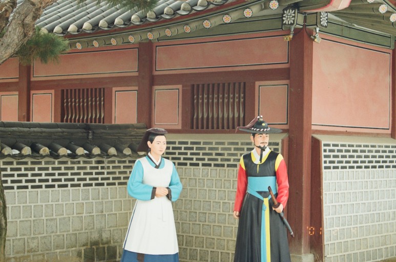 중고 펜탁스 SF7 자동차 필름 카메라 이야기. 결과는 9개월만에 나왔다. 23