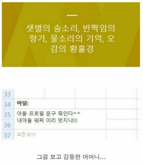  아들 카톡 프로필에 감동한 어머니