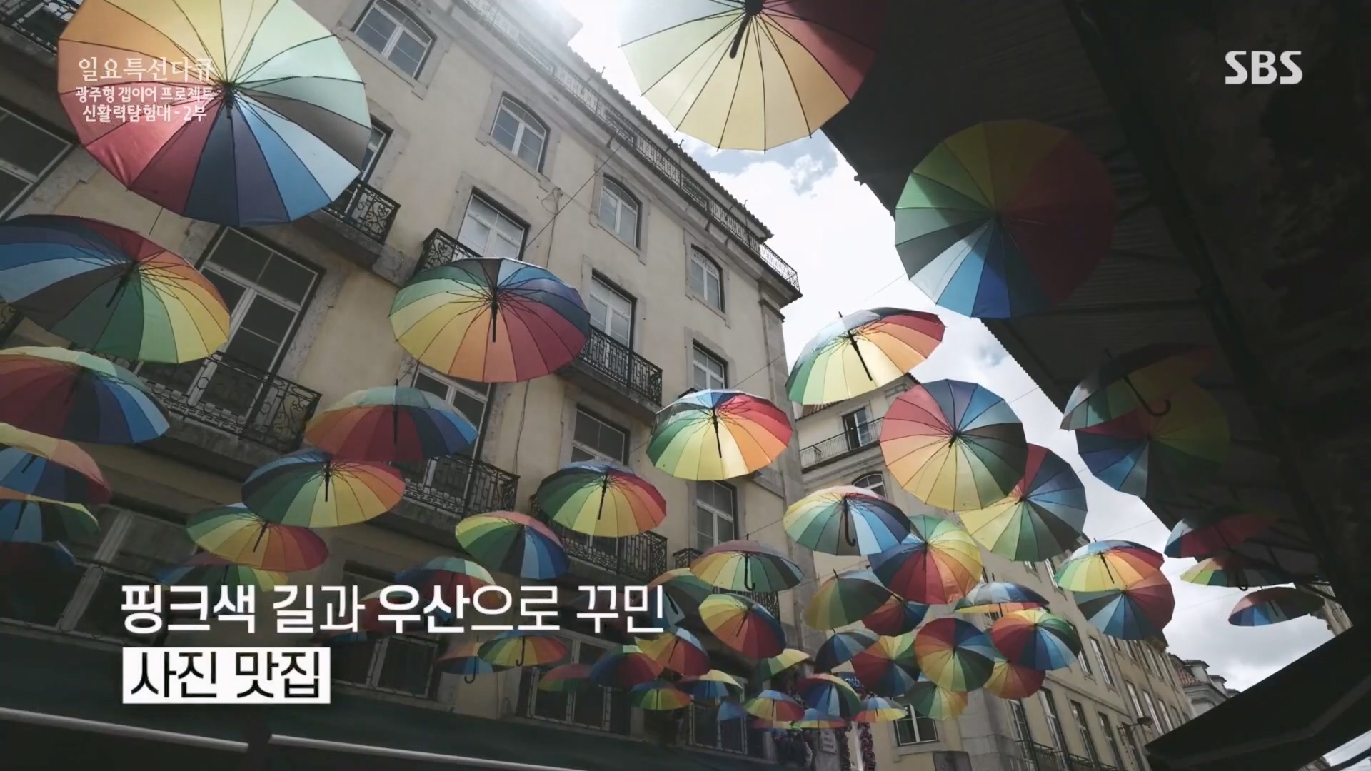 일요 특선 다큐멘터리.E326.231029p.H264-F1RST.mp4_20231029_155524.793.jpg