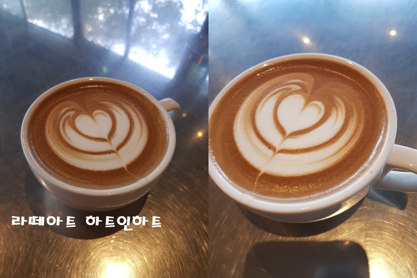 스완연습 및 하트인하트 연습 스완연습 및 하트인하트 연습