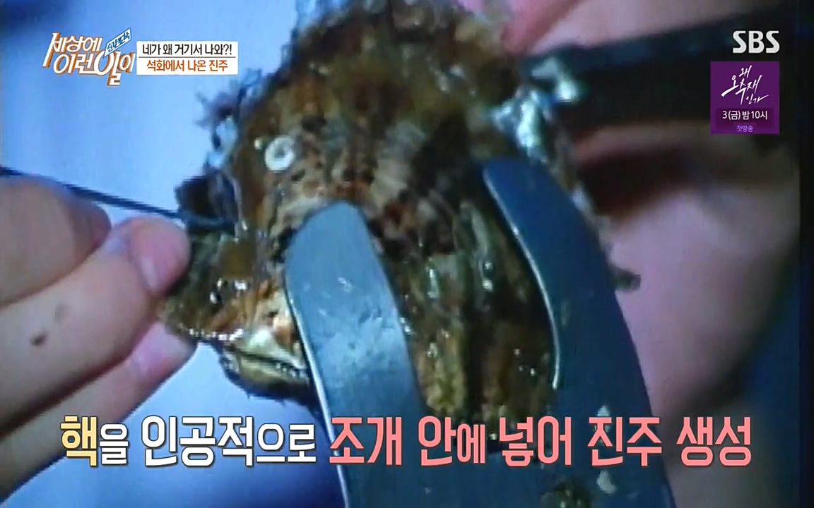 순간포착 세상에 이런일이.E1182.220532p-NEXT.mp4_20220601_171639.593.jpg