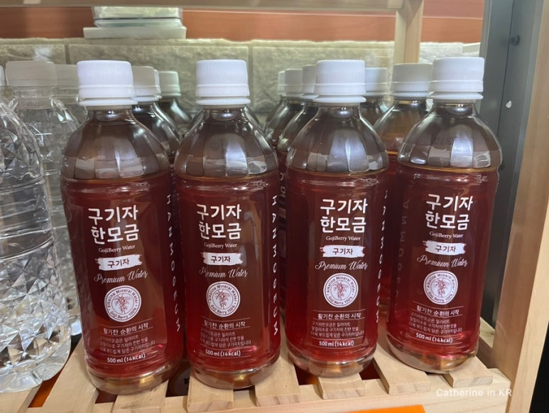 물애담 이미지