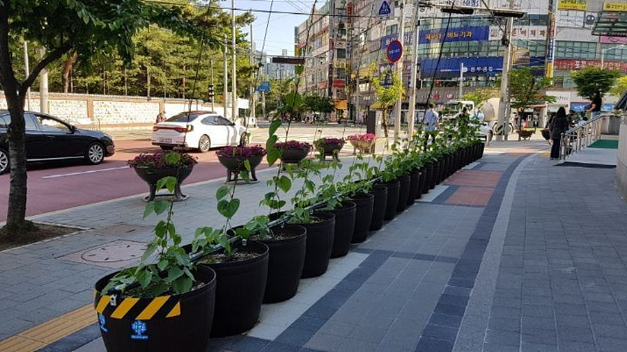 kbs1tv 다큐온 KBS1TV // 회천3동 생태그늘막 29