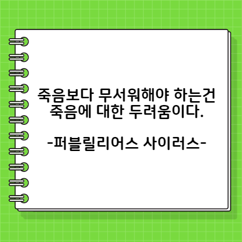 죽음보다 무서워해야 하는건 죽음에 대한 두려움이다. 퍼블릴리어스 사이러스