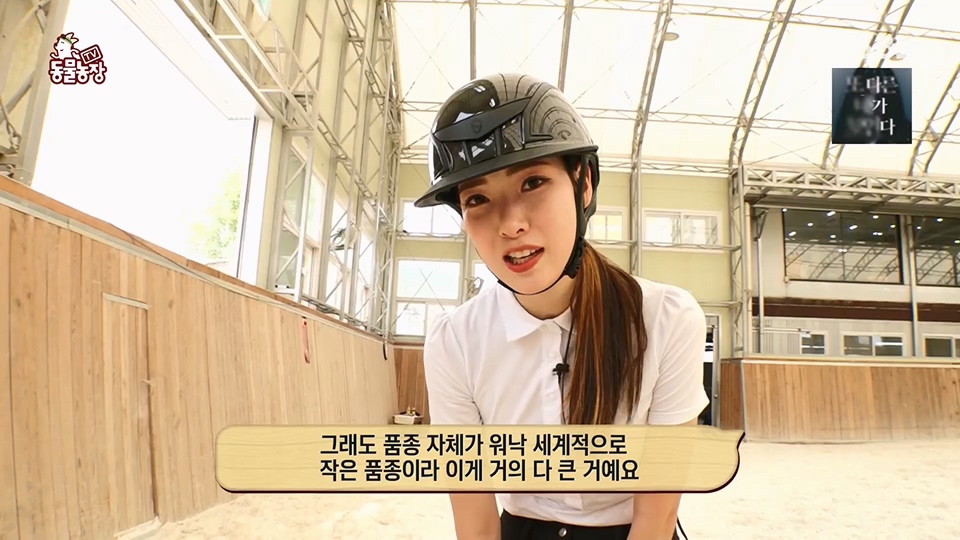 TV 동물농장.E1126.230625p.H264-F1RST.mp4_20230626_204258.634.jpg