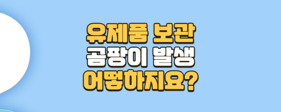 유제품 보관 중 곰팡이 발생 시 대처법
