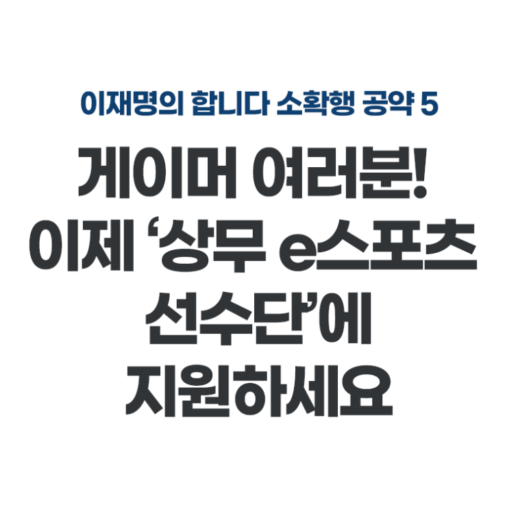  대통령 선거 이재명 후보의 공약 2