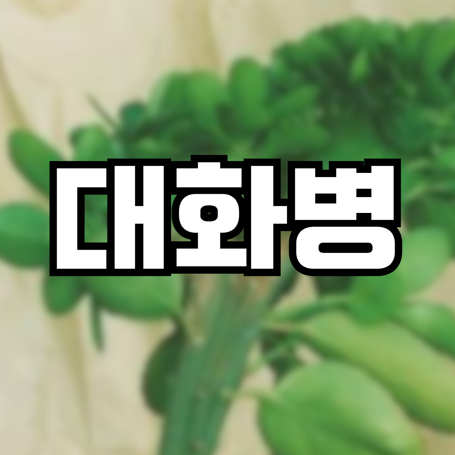  대화병