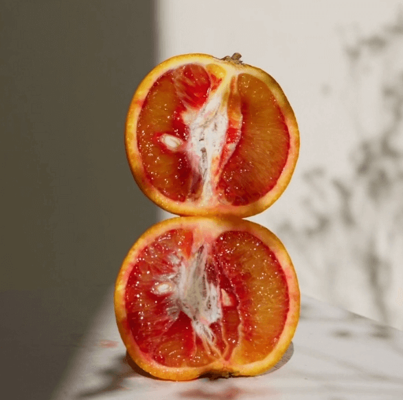 오렌지과 과일 사진