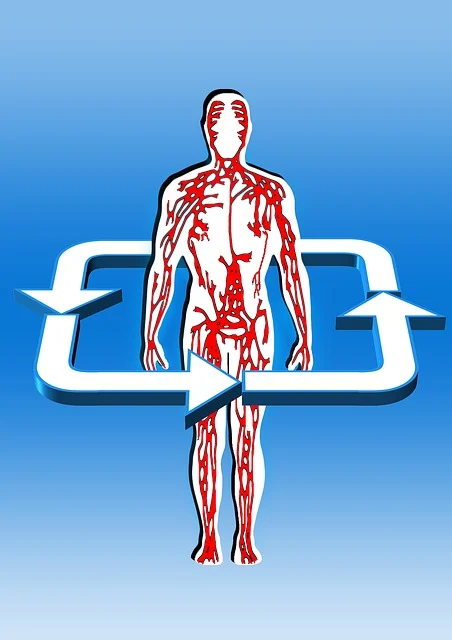 익모초 효능 9