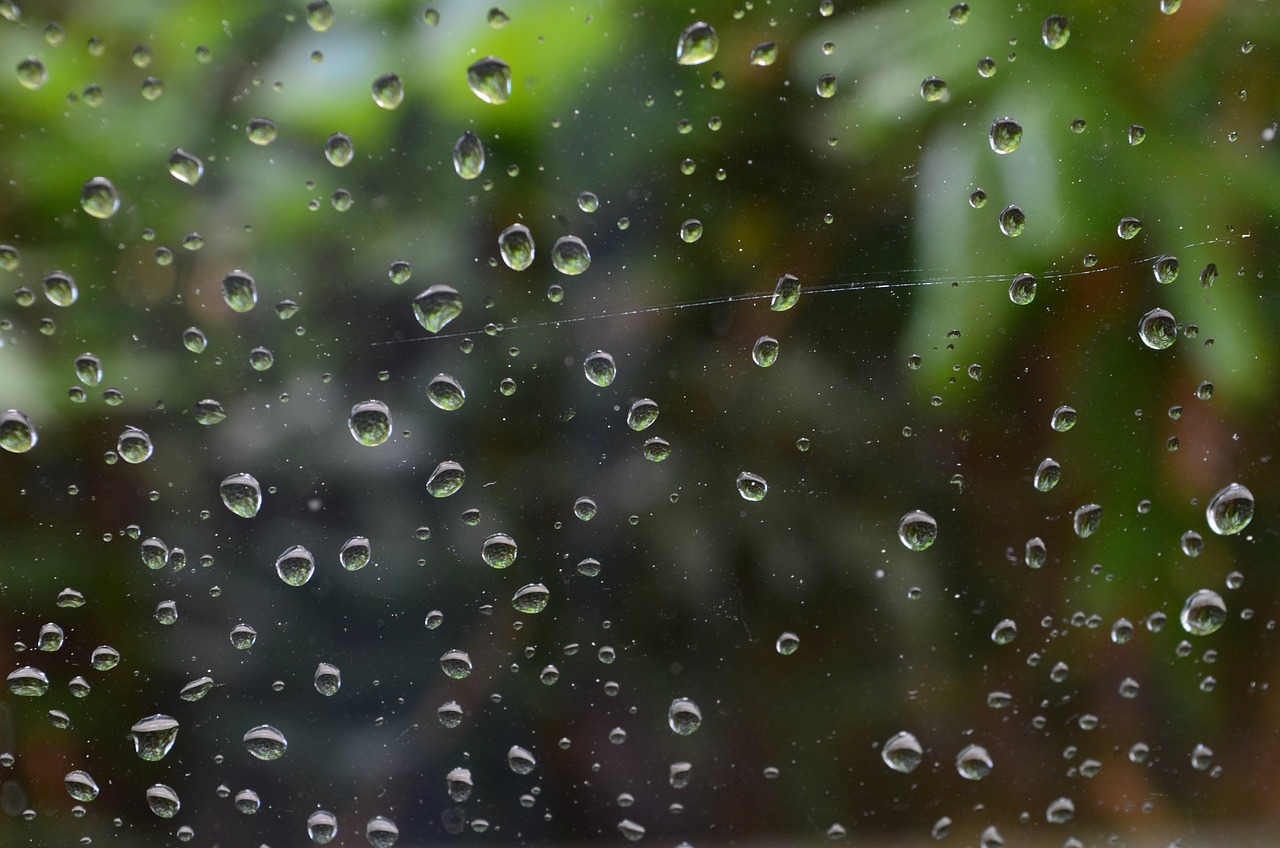 빗물이-맺힌-유리창-참고-이미지