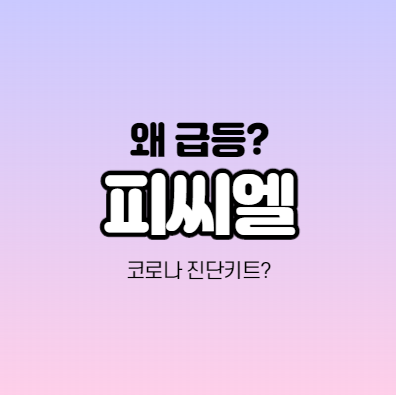  피씨엘 어떤 기업인가요? 코로나 진단키트 테마주 분석