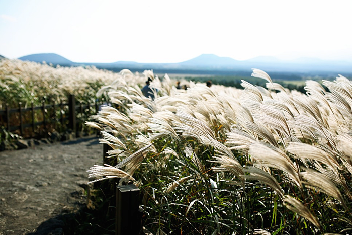 산굼부리