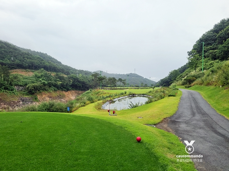 연예인 골프 순위 연예인들이 참여하는 29