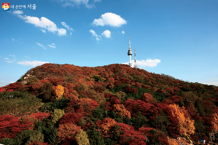 서울 단풍 명소 