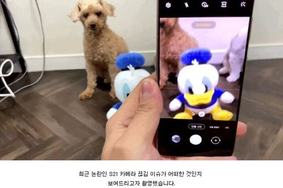  갤S21 '카메라 끊김' 현상에 삼성 "조만간 SW 업데이트"