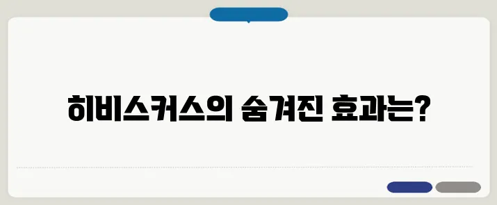 히비스커스 효능 혈압 관리에 도움될까