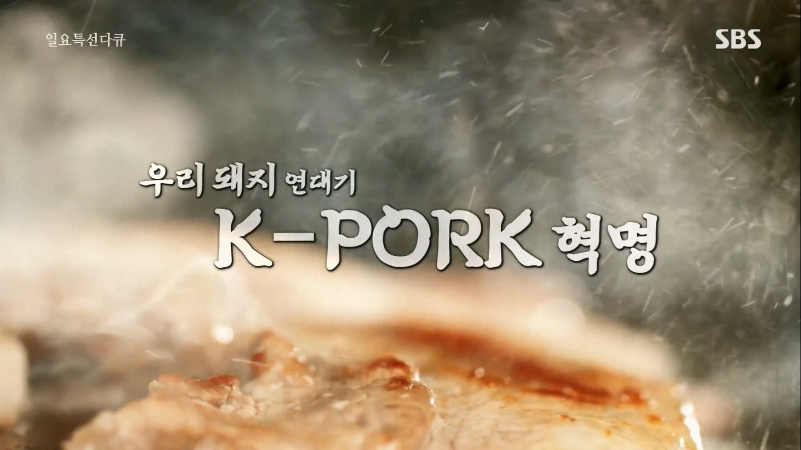 일요 특선 다큐멘터리.E315.230716p.H264-F1RST.mp4_20230717_204753.585.jpg