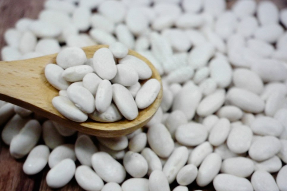 및 칼로리 흰강낭콩 효능 5