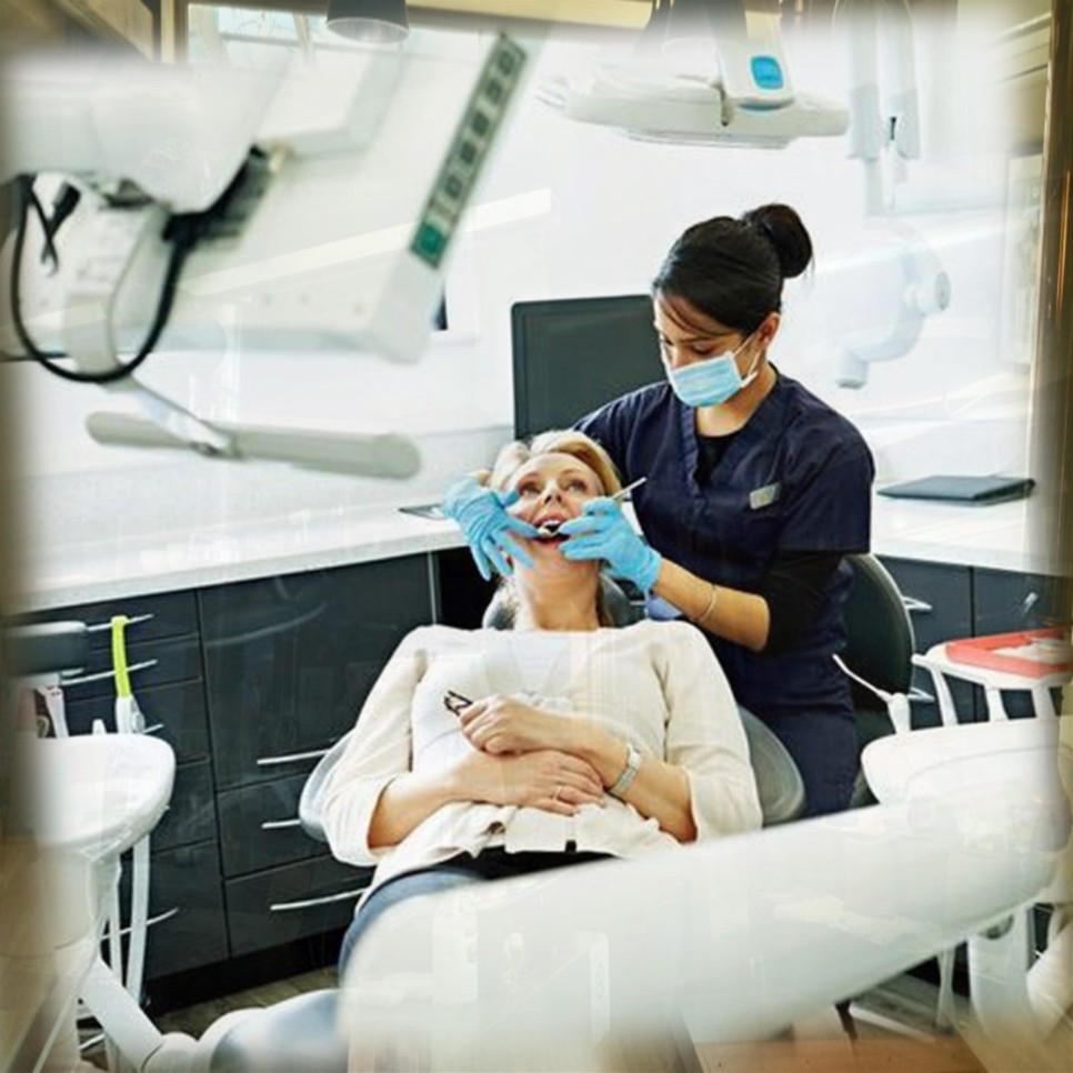 삼백초추출물관련 14