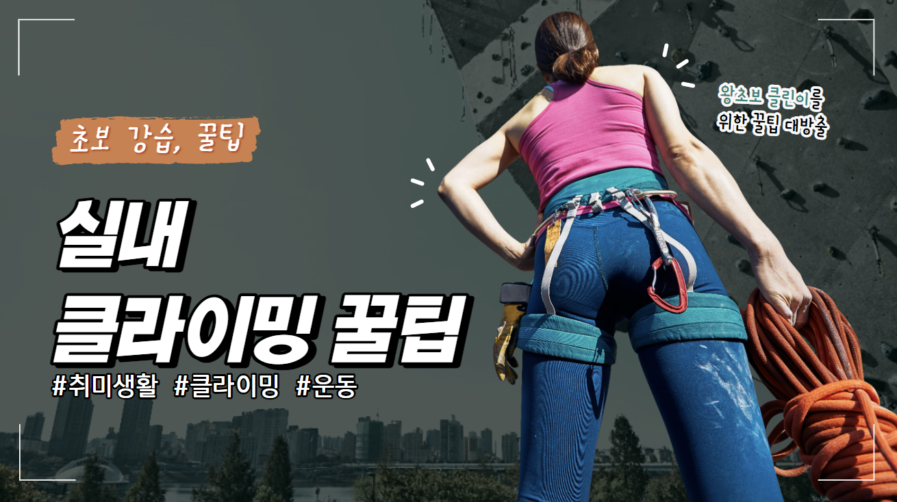  [클라이밍]실내 클라이밍 장점 초보 강습 가격, 꿀팁