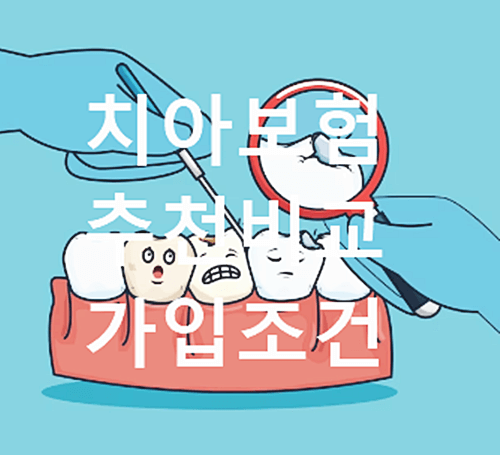 치아보험 추천 비교