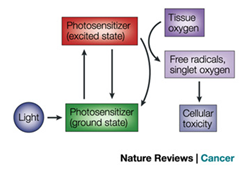 PDT requires three elements: light&#44; a photosensitizer and oxygen