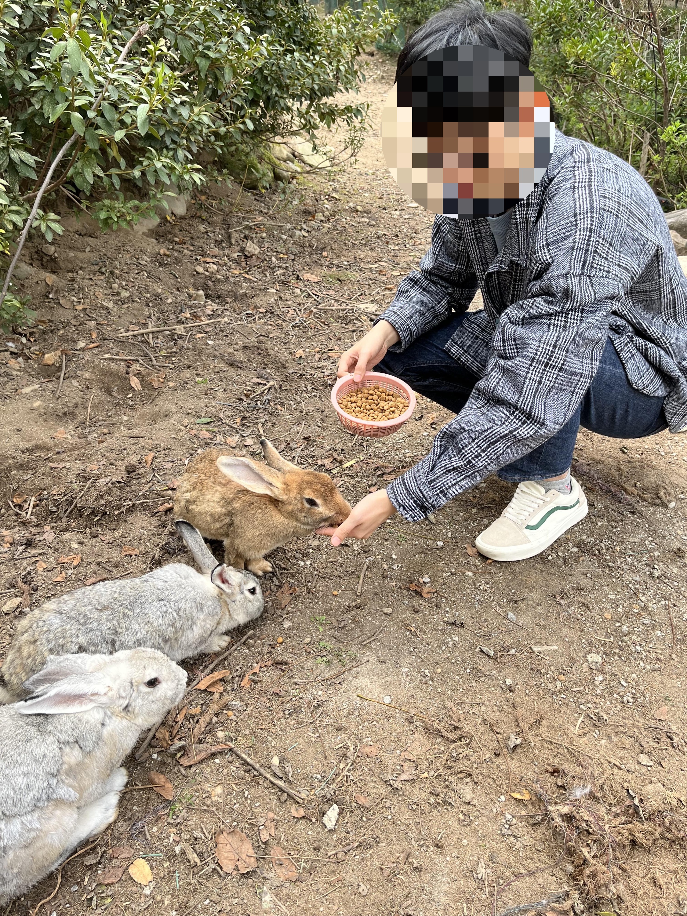 경주 국민힐링파크 토끼 먹이주는 사진
