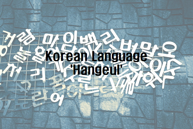  노다지네 잡학다식